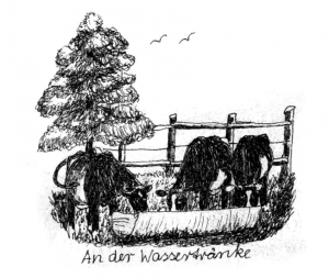 https://www.wilsen.de/wp-content/uploads/2018/05/Parkentin-Wassertrnke-300x253.png